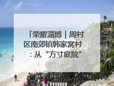 荣耀淄博｜周村区南郊镇韩家窝村：从“方寸庭院”到“全域文明”，乡村振兴的“美学革命”